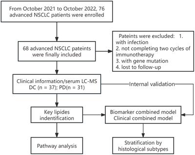 Plasma lipidomics profiling in predicting the chemo-immunotherapy response in advanced non-small cell lung cancer